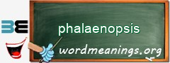 WordMeaning blackboard for phalaenopsis